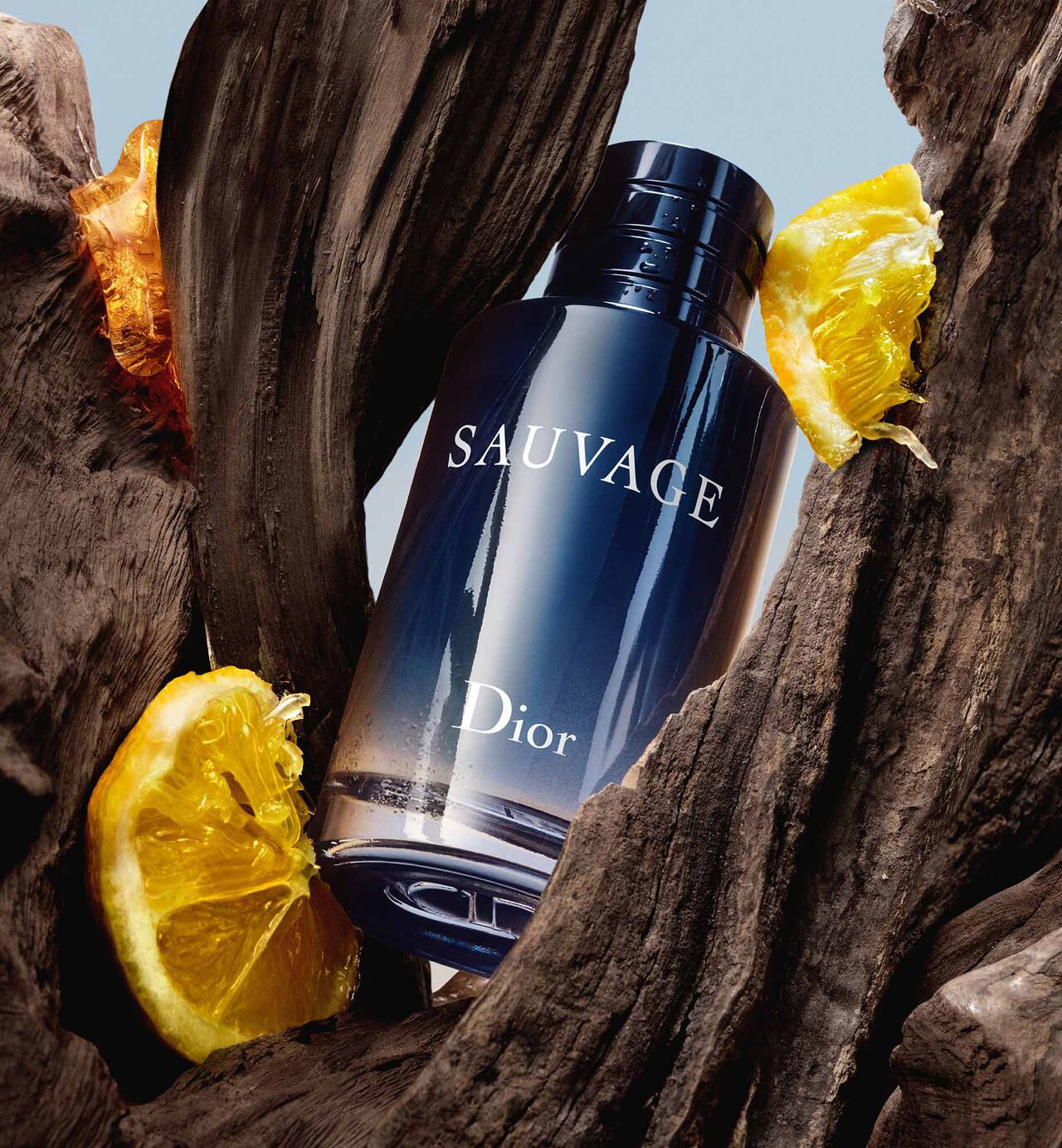 Christian Dior Sauvage EDT Spray (3.4 oz)