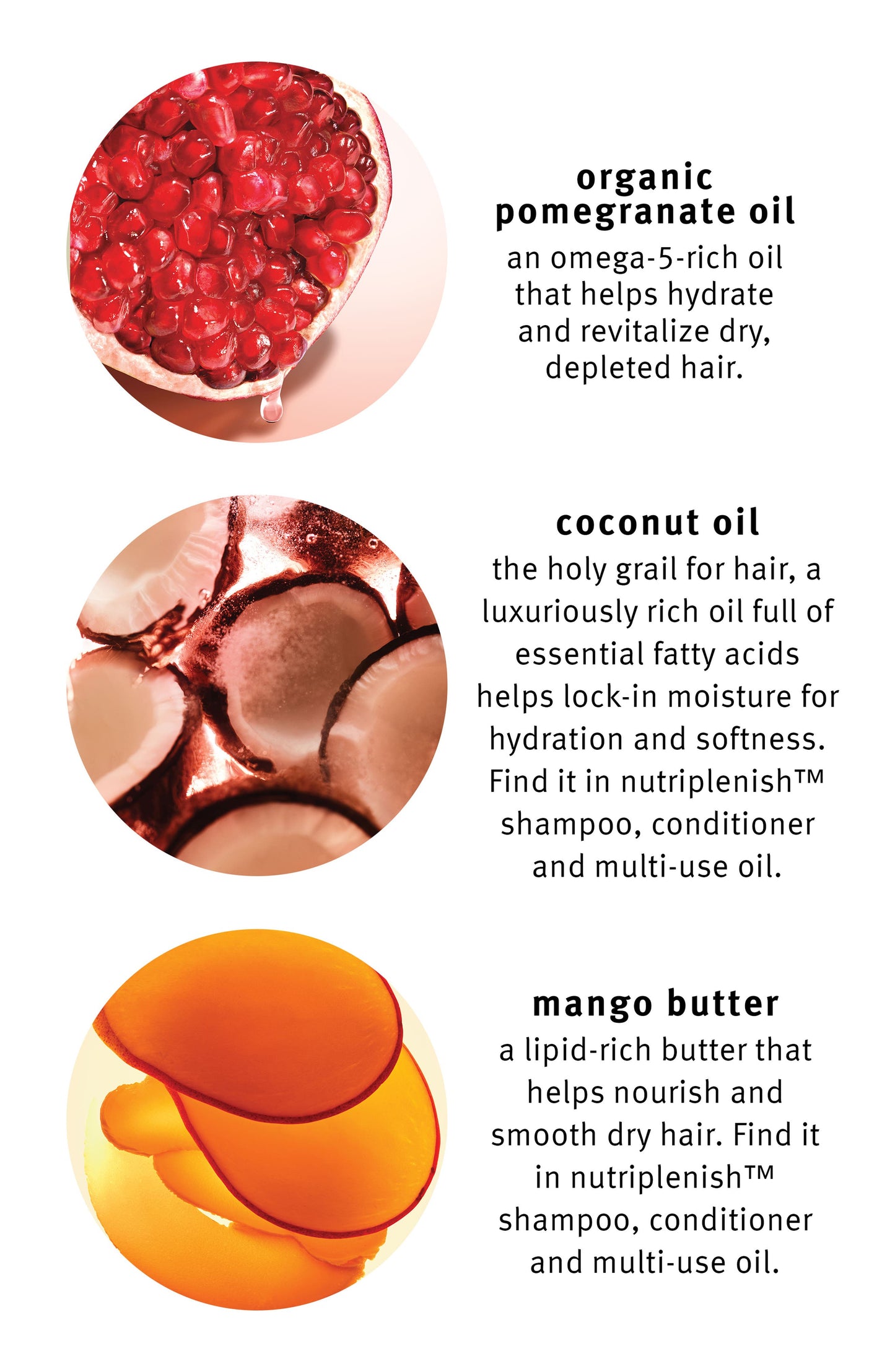 Aveda Nutriplenish Light Moisture Shampoo (8.5 oz)